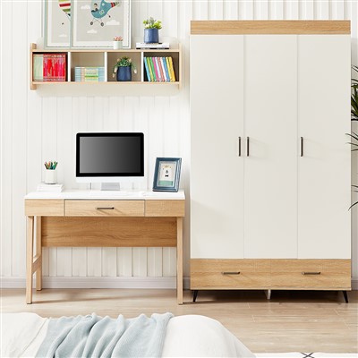 Modern Wood Color Wardorbe