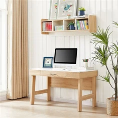 Wood Color Modern Desk